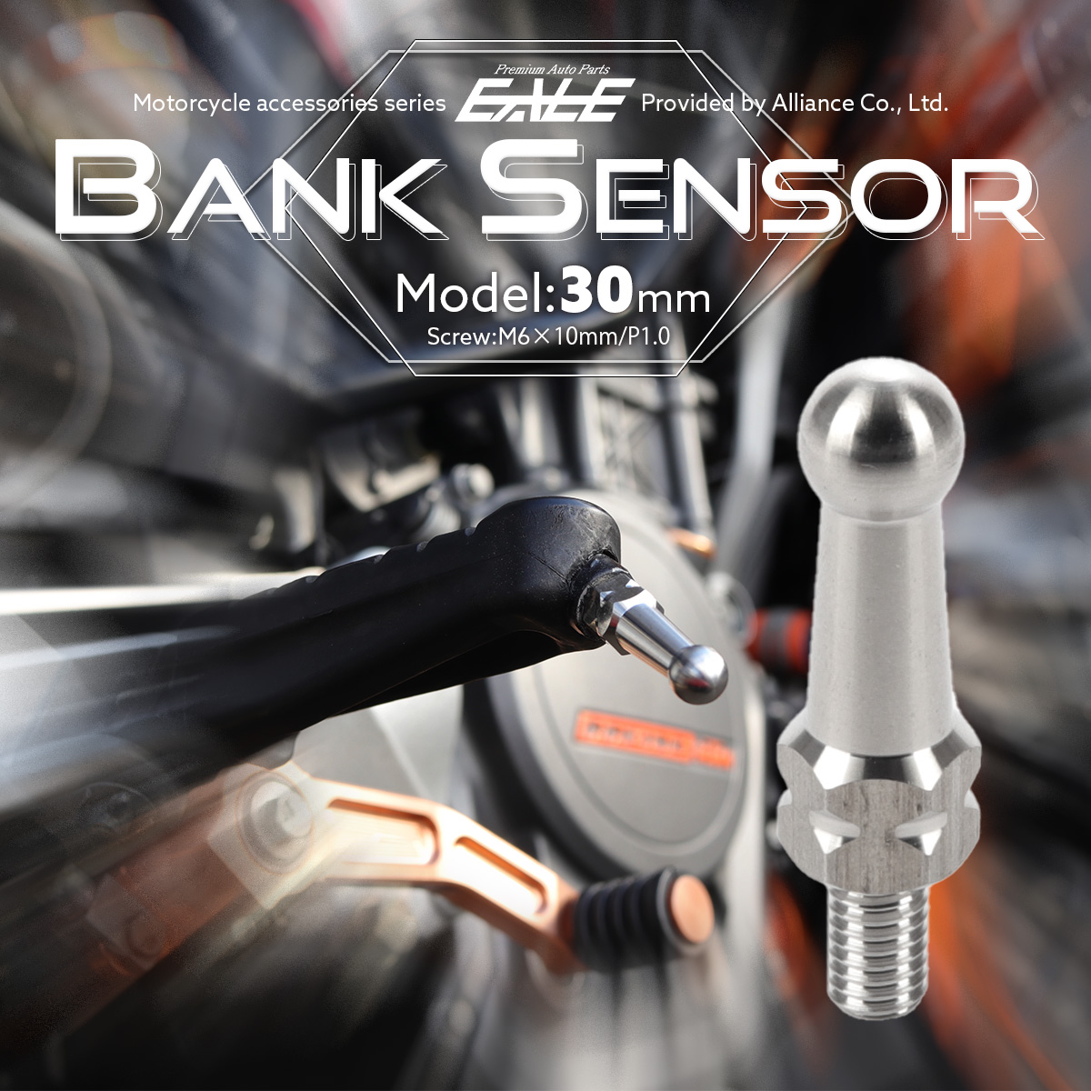 30mm バンクセンサー 汎用 ネジ M6×10mm P1.0 補修 交換用 ドレスアップにも シルバー 1個売り S-1038 【メール便可】