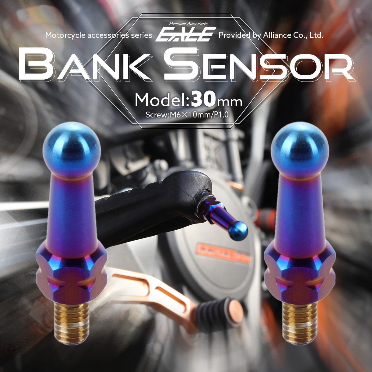 30mm バンクセンサー 汎用 ネジ M6×10mm P1.0 補修 交換用 ドレスアップにも 焼きチタン色 2個セット S-1041-2SET 【メール便可】