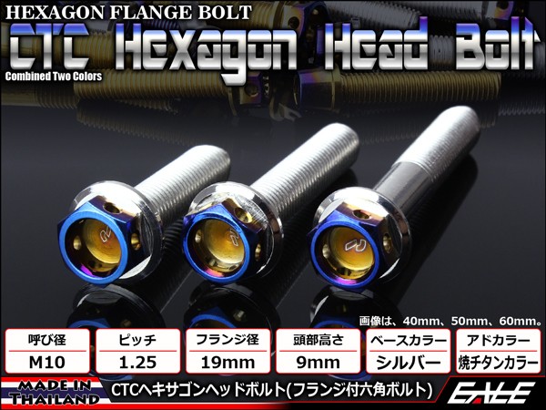 M10×45mm P1.25 フランジ ヘキサゴンヘッドボルト 六角ボルト ステンレス CTC シルバー＆焼チタンカラー TB0704 【メール便可】