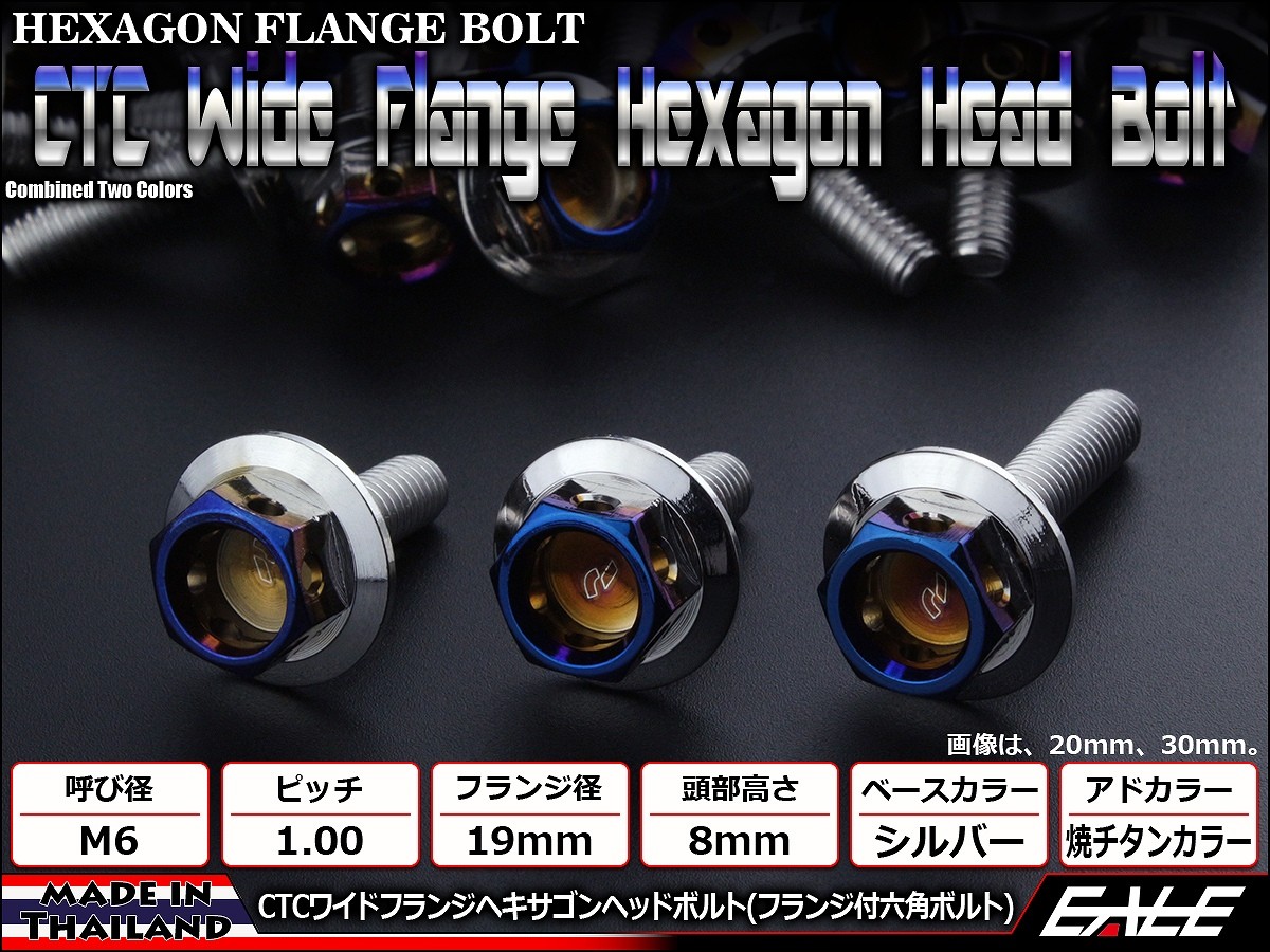 M6×15mm P1.0 ワイドフランジ ヘキサゴンヘッド ボルト 六角ボルト ステンレス CTC シルバー＆焼チタンカラー TB0711 【メール便可】