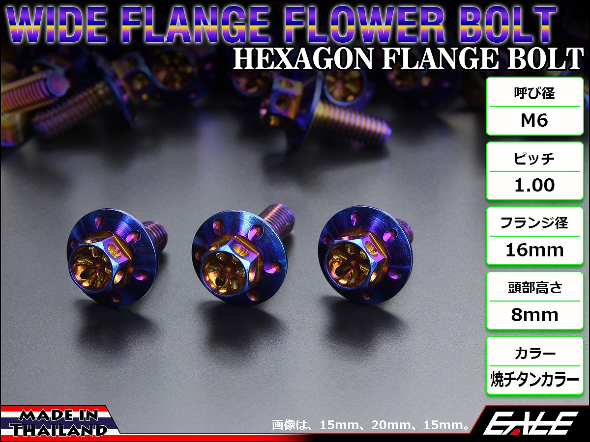 M6×10mm P1.00 ワイドフランジフラワー ボルト ワイヤーロック穴付き 六角ボルト SUS304 ステンレス 焼きチタンカラー TB0965 【メール便可】