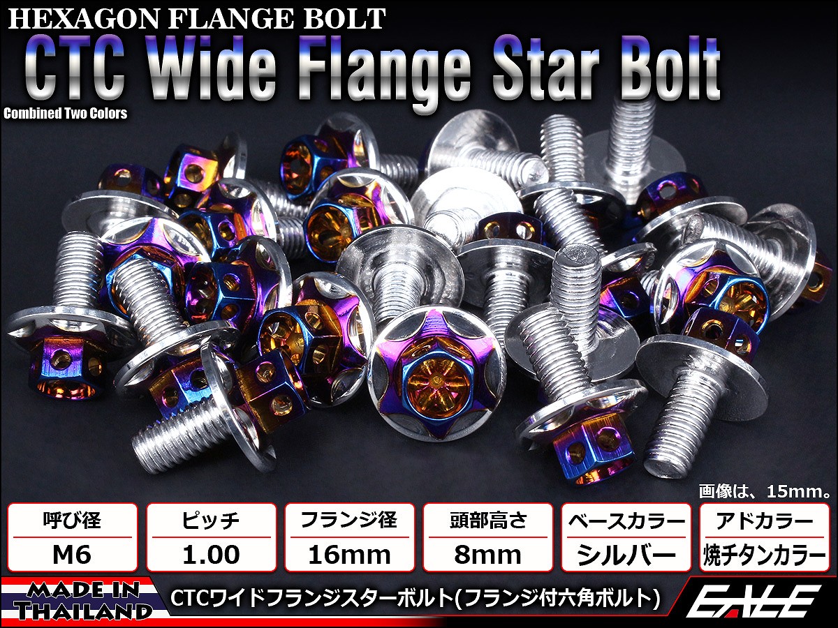 M6×10mm P1.00 2色 ワイドフランジスター ボルト ワイヤーロック穴付き 六角ボルト ステンレス削り出し シルバー&焼きチタンカラー TB0995 【メール便可】