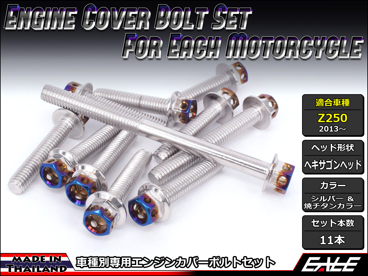 Z250(ER250) エンジンカバー ボルト11本set フランジ付六角ボルト CTCヘキサゴンヘッド シルバー&焼チタンカラー TB8059