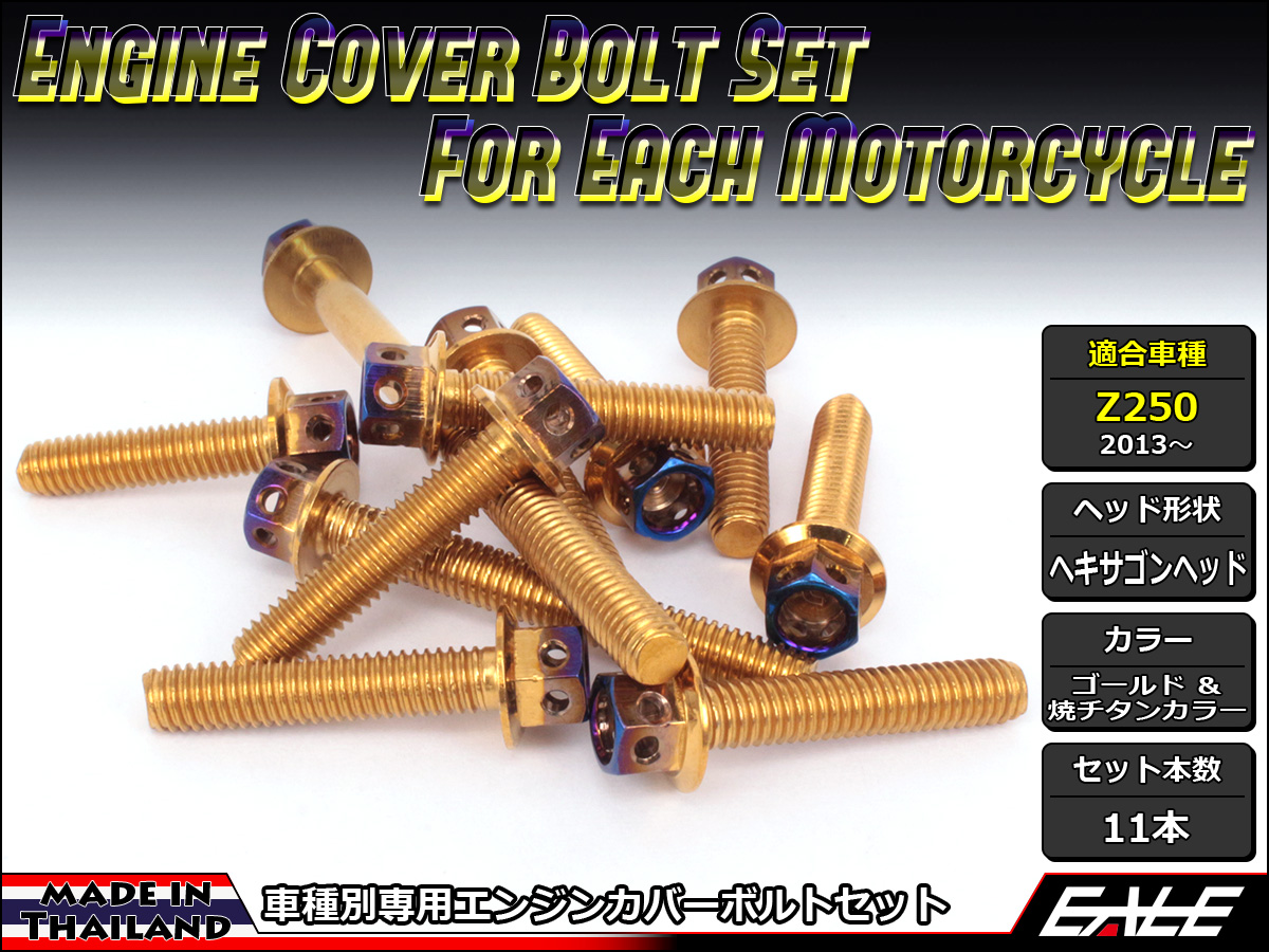 Z250(ER250) エンジンカバー ボルト11本set フランジ付六角ボルト CTCヘキサゴンヘッド ゴールド&焼チタンカラー TB8060