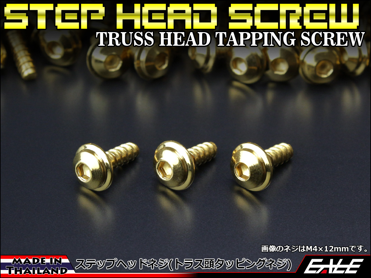 タッピングネジ M5×25mm トラス頭 ステップヘッド ネジ 六角穴 ステンレス 削り出し カウルやパネルなどに ゴールド TC0040 【メール便可】