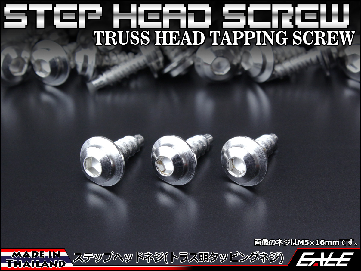 タッピングネジ M5×16mm トラス頭 ステップヘッド ネジ 六角穴 ステンレス 削り出し カウルやパネルなどに シルバー TC0033 【メール便可】