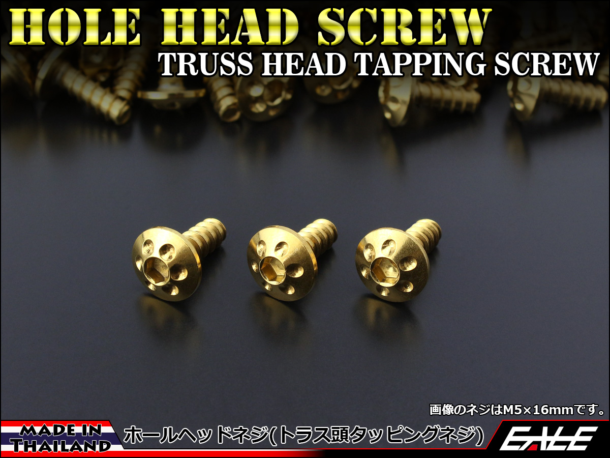 タッピングネジ M5×20mm ホールヘッド ネジ ステンレス カウルやパネルなどに ゴールド TC0069 【メール便可】
