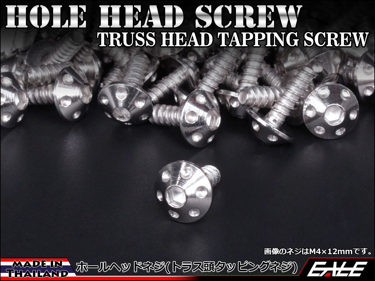 タッピングネジ M5×16mm ホールヘッド ネジ ステンレス カウルやパネルなどに シルバー TC0063 【メール便可】