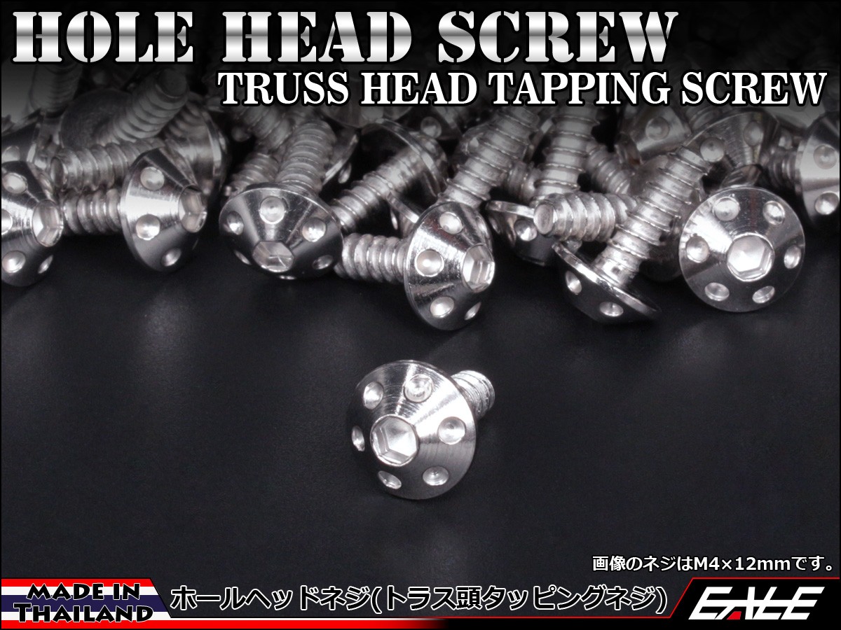 M5×25mm ホールヘッドネジ タッピングネジ ステンレス 削り出し トラス頭 シルバー TC0065 【メール便可】