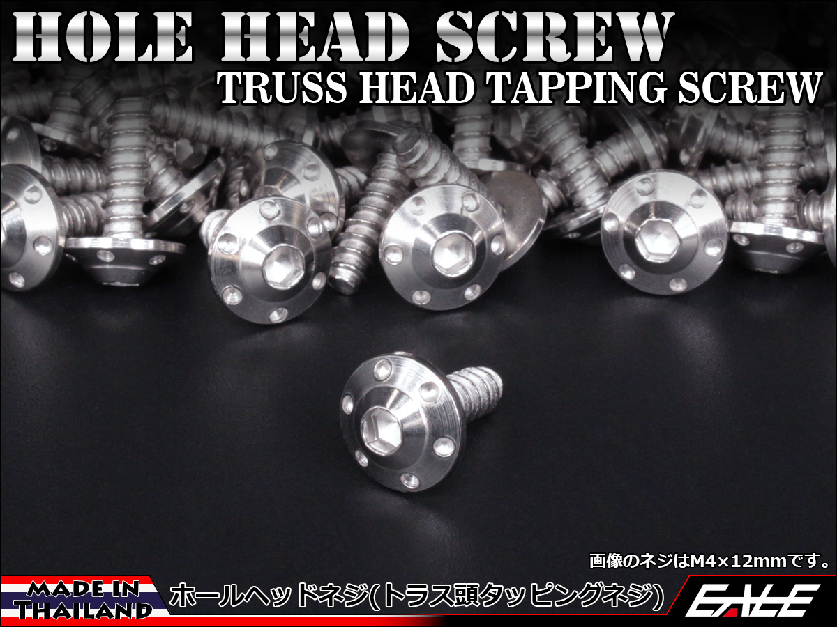 タッピングネジ M4×12mm ステップ ホールヘッド ネジ H-1 ステンレス カウルやパネルなどに シルバー TC0106 【メール便可】