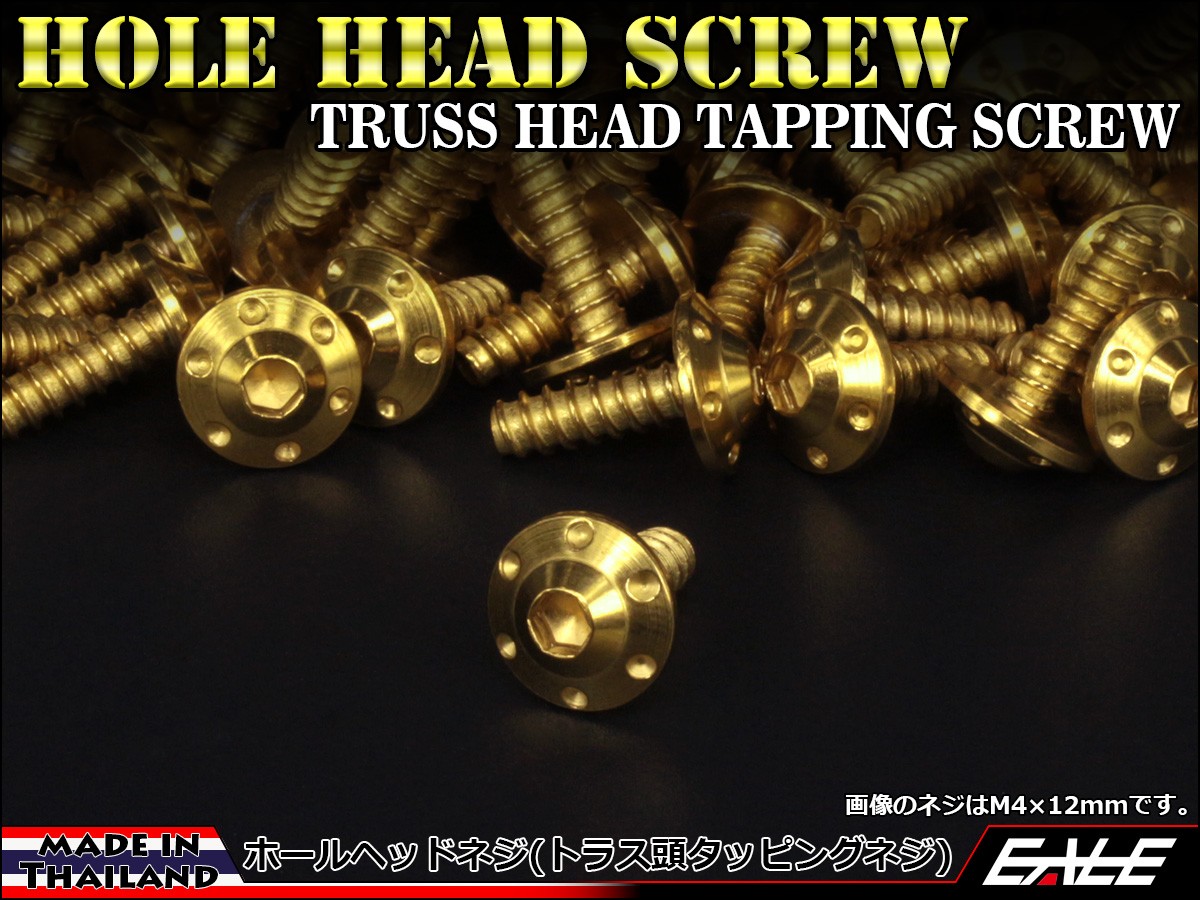 M4×16mm ホールヘッドネジ H-1 タッピングネジ ステンレス 削り出し トラス頭 ゴールド TC0112 【メール便可】