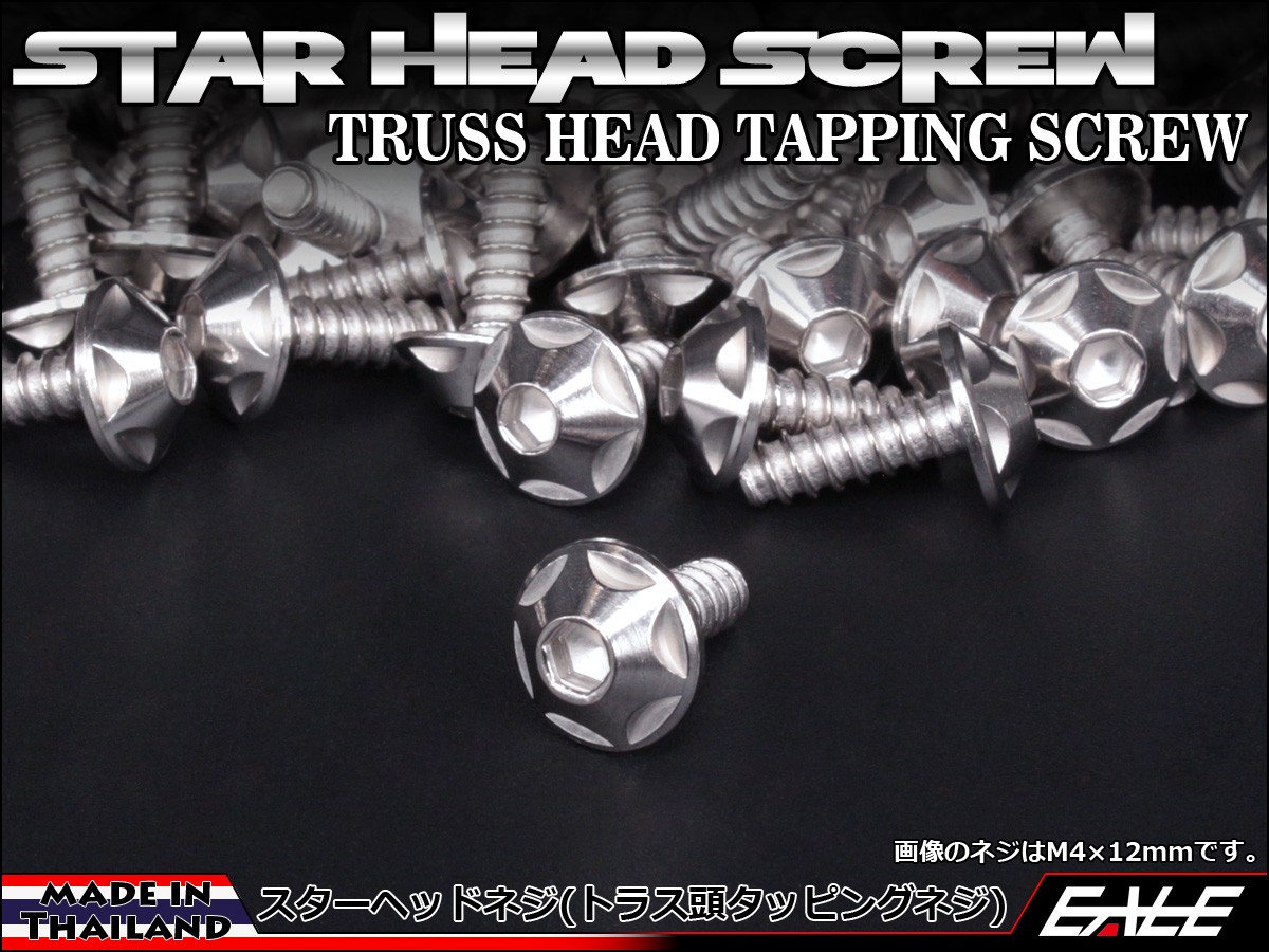 M4×16mm スターヘッドネジ タッピングネジ ステンレス 削り出し トラス頭 シルバー TC0122 【メール便可】