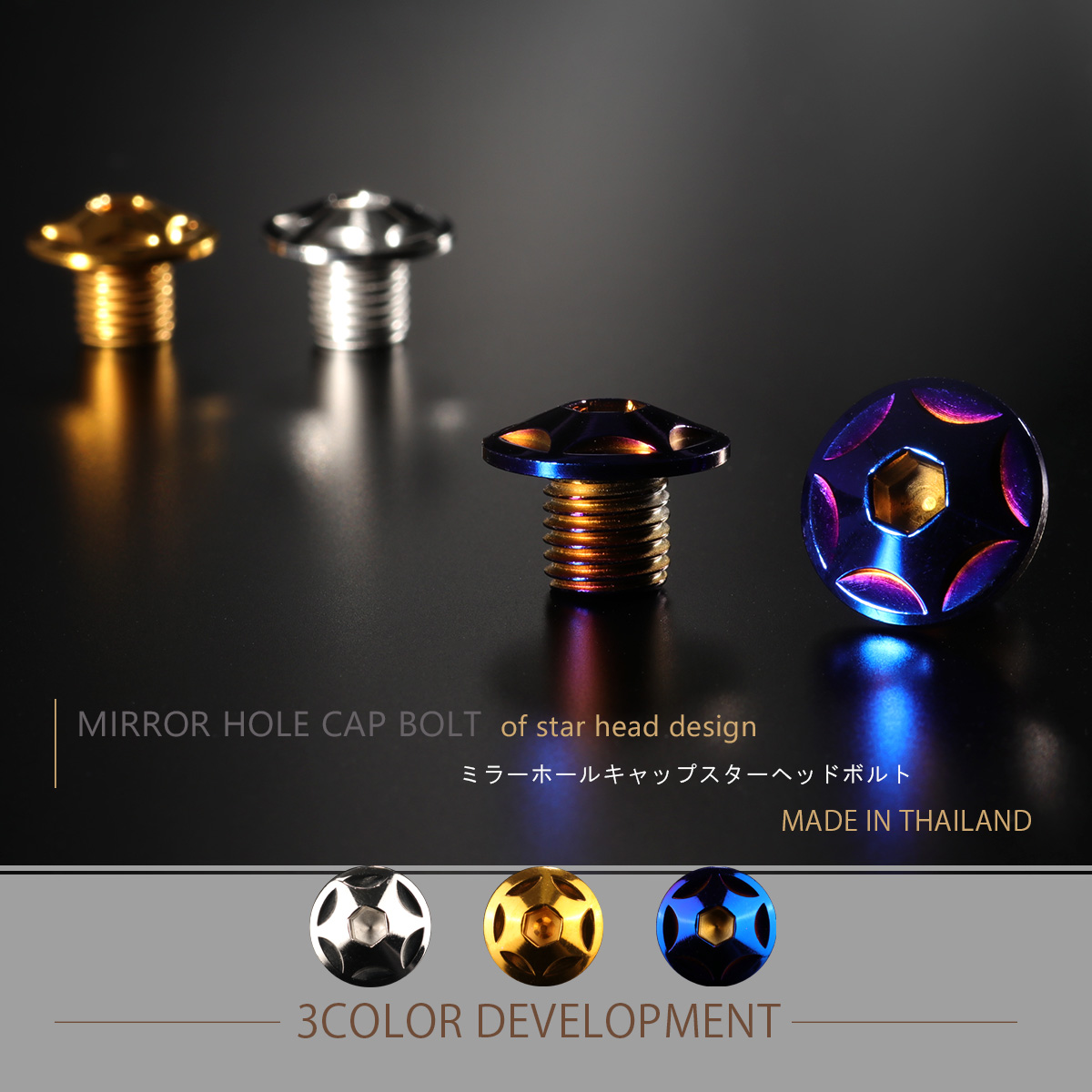 ミラーホールカバー キャップ スターヘッド 2個セット M10×10mm 正ネジ P1.25 SUS304 ステンレス製 焼チタン TH0103 【メール便可】