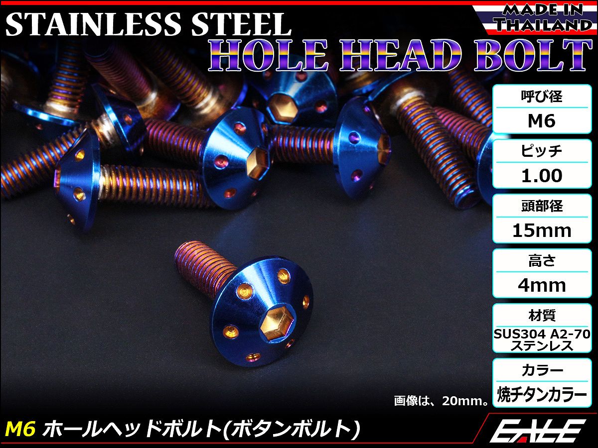 ボタンボルト M6×10mm P1.0 ホールヘッドボルト 六角穴 SUS304 ステンレス削り出し 焼きチタンカラー TR0078 【メール便可】