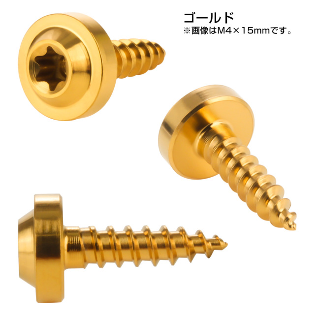 タッピングネジ M4×25mm チタン トルクス穴 フランジ付き ビス