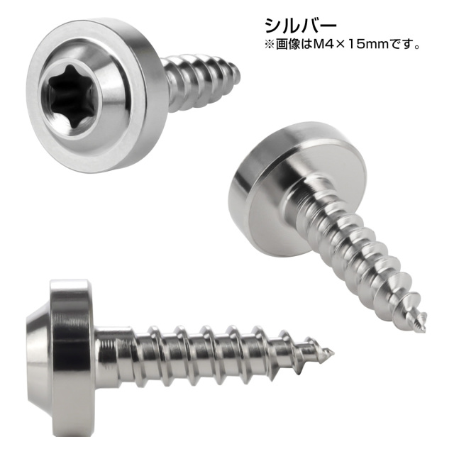 タッピングネジ M4×30mm チタン トルクス穴 フランジ付き ビス