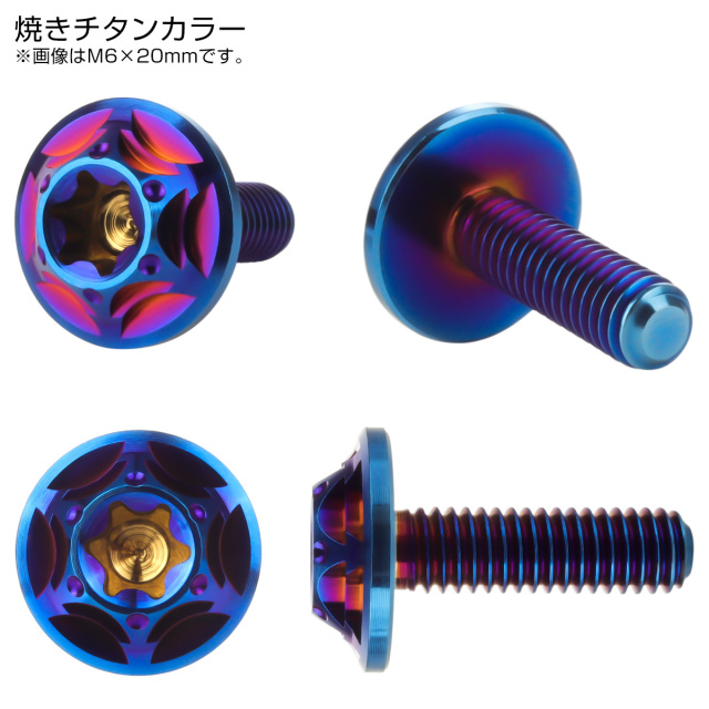 チタンボルト M6×20mm P1.0 ボタンボルト フランジ付き トルクス穴