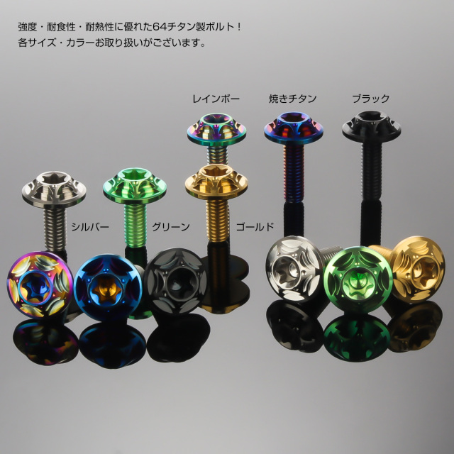 チタンボルト M6×20mm P1.0 ボタンボルト フランジ付き トルクス穴