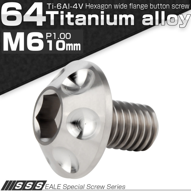 チタンボルト M6×10mm P1.00 ボタンボルト 頭部径14mm 六角穴 グレー 素地色 ホール JA1125 【メール便可】