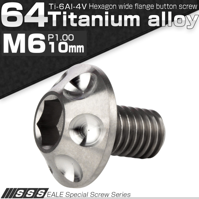 チタンボルト M6×10mm P1.00 頭部径14mm ボタンボルト 六角穴 ホールヘッド シルバー 原色 JA1125 【メール便可】