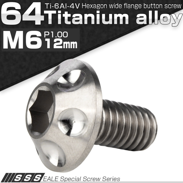 チタンボルト M6×12mm P1.00 頭部径14mm ボタンボルト 六角穴 ホールヘッド シルバー 原色 JA1126 【メール便可】
