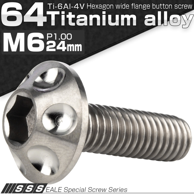 チタンボルト M6×24mm P1.00 頭部径14mm ボタンボルト 六角穴 ホールヘッド シルバー 原色 JA1129 【メール便可】