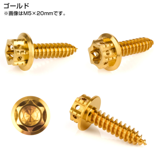 64チタン製 M5×15mm タッピングネジ トルクス穴 フランジ付 ヘキサゴン