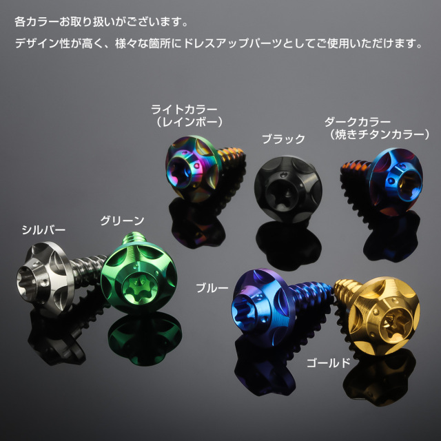 64チタン M5×15mm タッピングネジ トルクス穴 スターホール