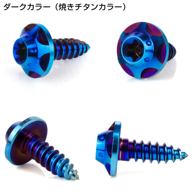 64チタン M5×15mm タッピングネジ トルクス穴 スターホールヘッド ビス