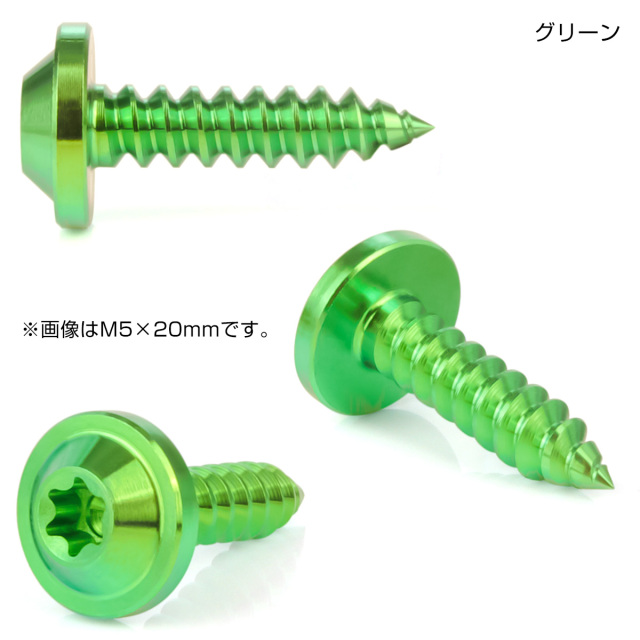 タッピングネジ M5×18mm チタン トルクス穴 フランジ付き ビス