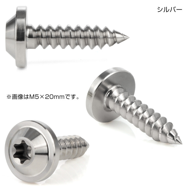 タッピングネジ M5×35mm チタン トルクス穴 フランジ付き ビス