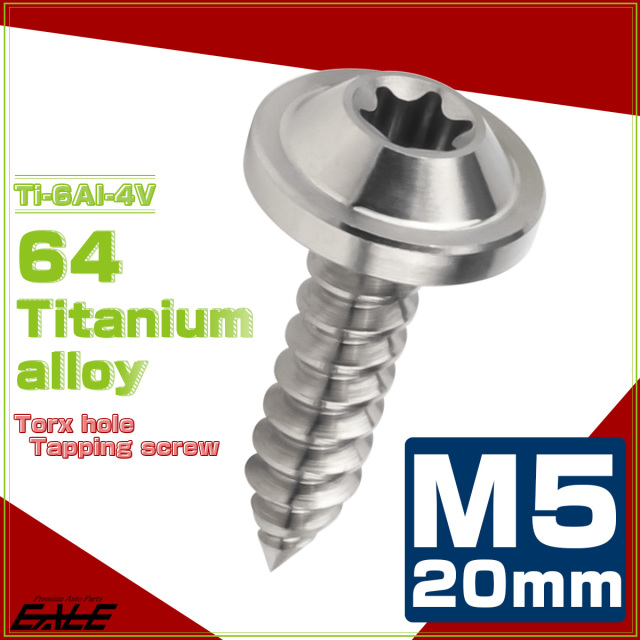 タッピングネジ M5×20mm チタン トルクス穴 フランジ付き ビス シルバー JA1267 【メール便可】