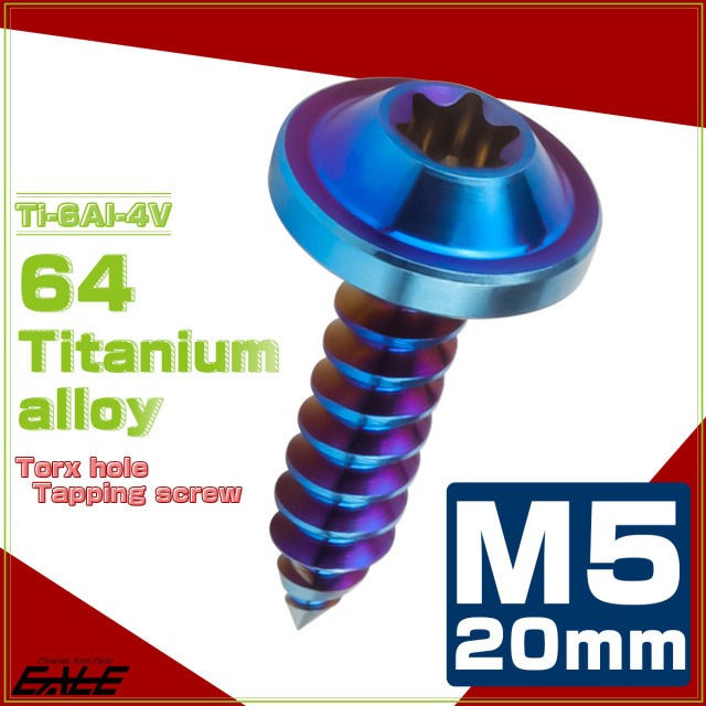 タッピングネジ M5×20mm チタン トルクス穴 フランジ付き ビス ダーク