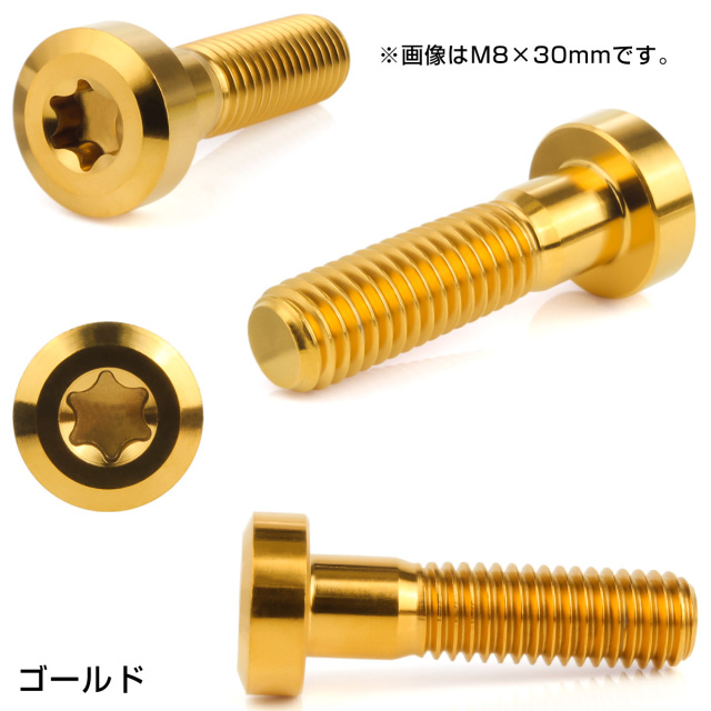 チタンボルト M8×30mm P1.25 トルクス穴 キャップボルト ローヘッド