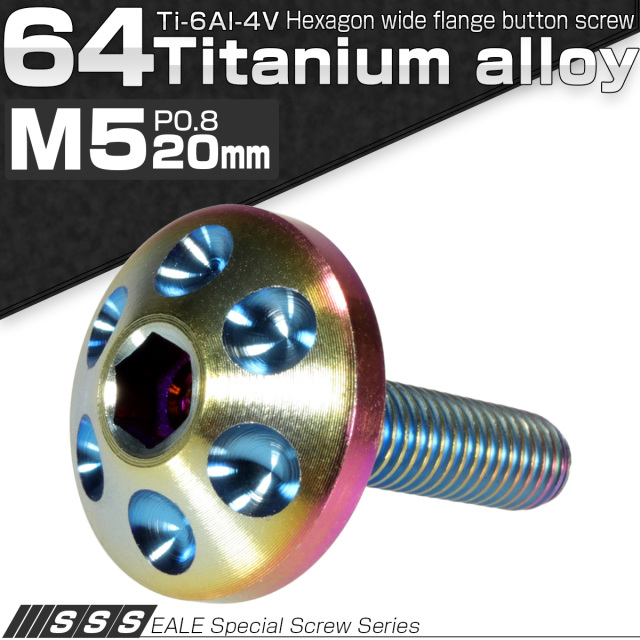 チタンボルト M5×20mm P0.80 頭部径16mm ボタンボルト 六角穴 ホールヘッド レインボー 虹色 JA165 【メール便可】