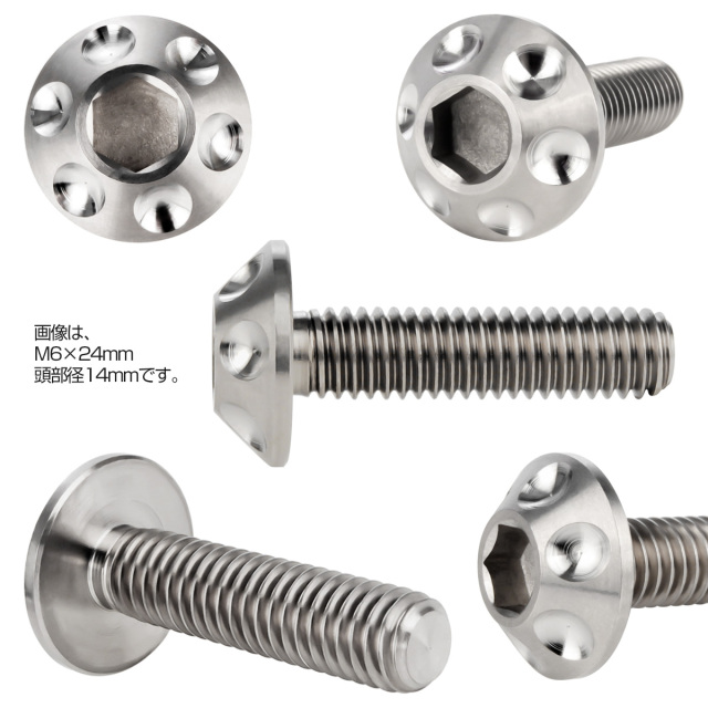 Buell用Gr5チタンボルト(10本)とDTS06-04コネクタ(メス一式