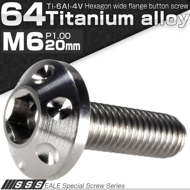 チタンボルト M6×20mm P1.00 頭部径14mm ボタンボルト 六角穴 ホールヘッド シルバー 原色 JA180 【メール便可】
