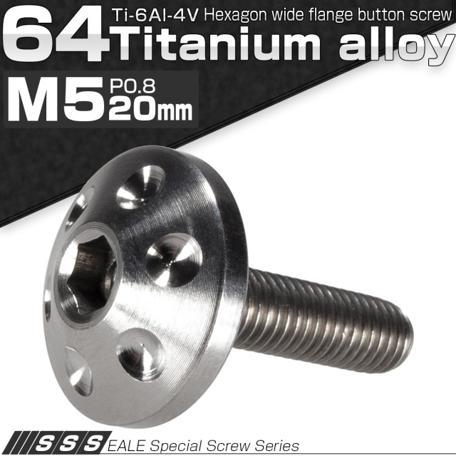 チタンボルト M5×20mm P0.80 頭部径16mm ボタンボルト 六角穴 ホールヘッド シルバー 原色 JA181 【メール便可】