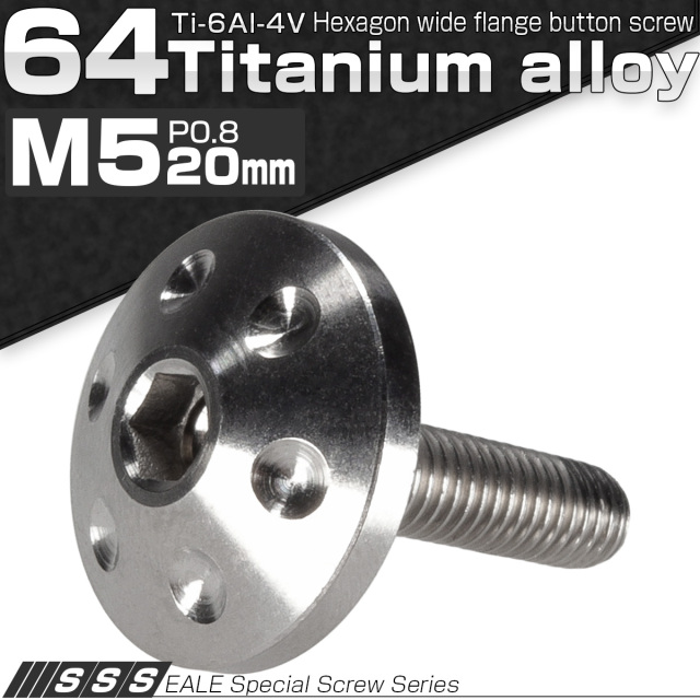 チタンボルト M5×20mm P0.80 頭部径18mm ボタンボルト 六角穴 ホールヘッド シルバー 原色 JA182 【メール便可】