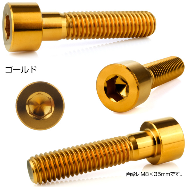 チタンボルト M10×45mm P1.25 キャップボルト キャップスクリュー 六角 チタンボルト M10×45mm P1.25 キャップボルト キャップスクリュー 六角