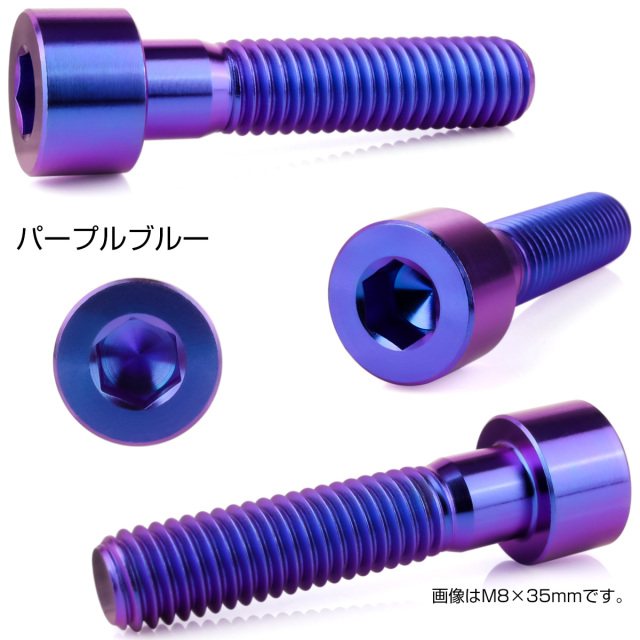 チタンボルト M6×18mm P1.0 キャップボルト キャップスクリュー 六角穴