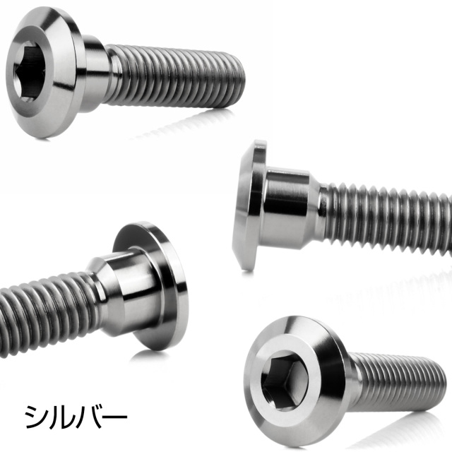チタンボルト M8×30mm P=1.25 ブレーキディスク ローター ボルト