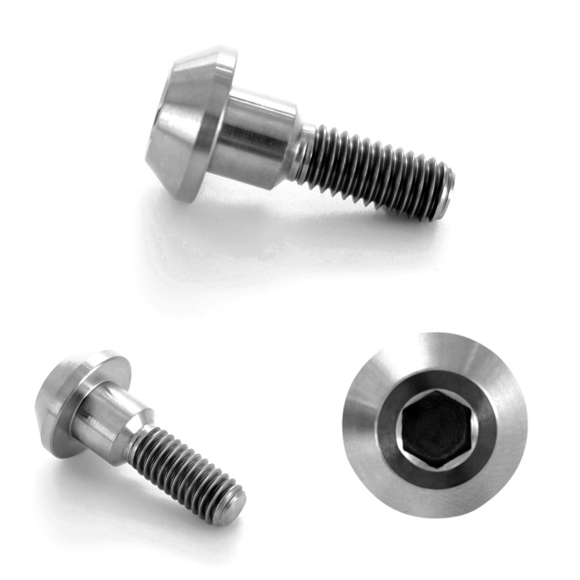 チタンボルト M6×21mm P=1.00 ブレーキディスク ローター ボルト チタンボルト M6×21mm P=1.00 ブレーキディスク ローター ボルト