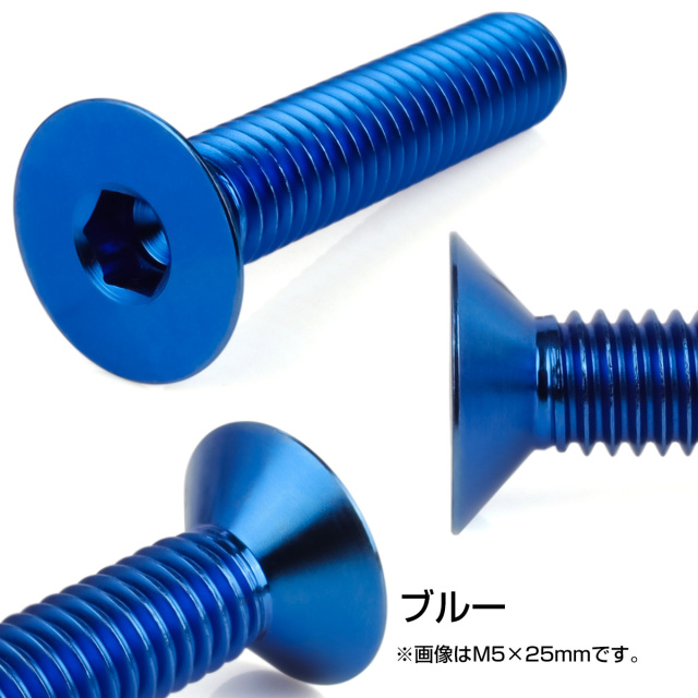 チタンボルト M8×15mm P1.25 皿ボルト 六角穴 皿 キャップボルト