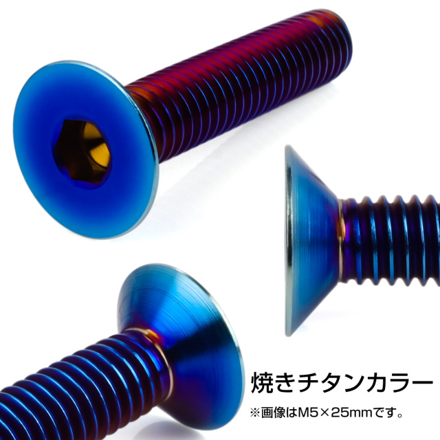 チタンボルト M3×20mm P0.5 皿ボルト 六角穴 皿キャップボルト 焼き