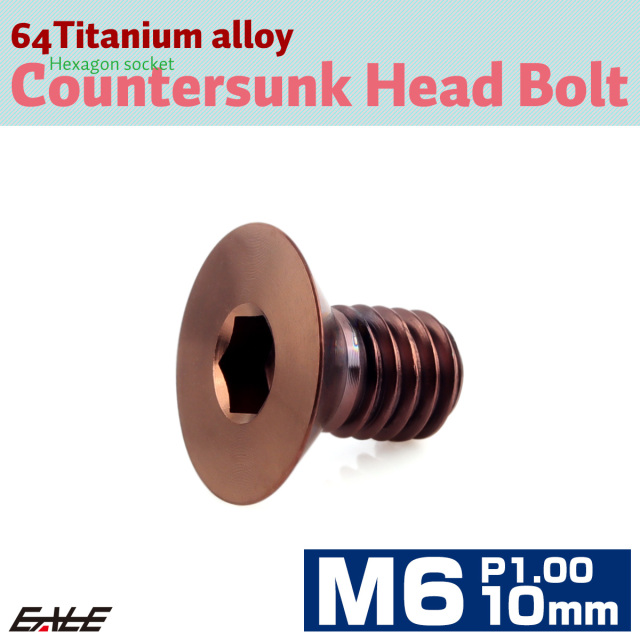 チタンボルト M6×10mm P1.0 皿ボルト 六角穴 皿 キャップボルト ブロンズ JA3020 【メール便可】