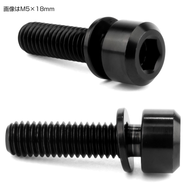 チタンボルト M5×20mm P0.8 ワッシャー付き キャップボルト 六角穴