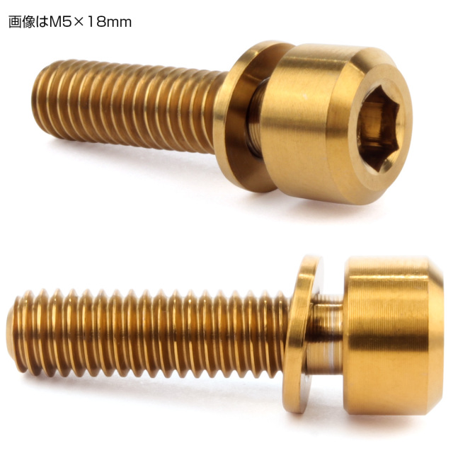 チタンボルト M6×16mm P1.0 ワッシャー付き キャップボルト 六角穴