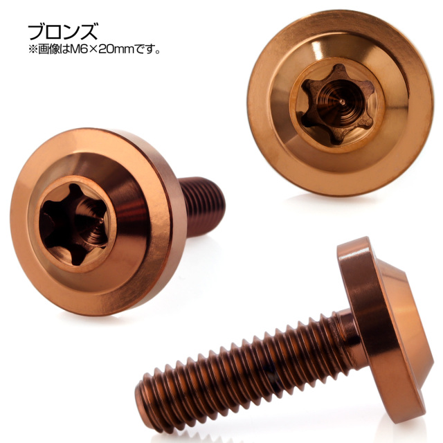 チタンボルト M6×20mm P1.0 ボタンボルト トルクスヘッド フランジ付