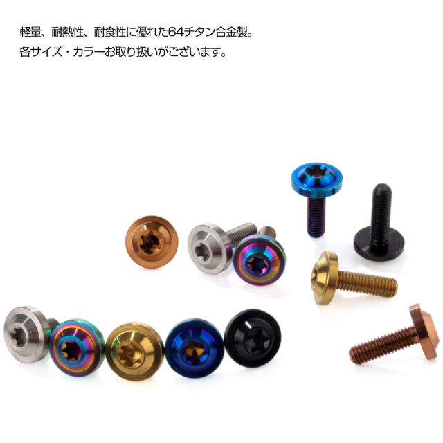 チタンボルト M6×20mm P1.00 ボタンボルト トルクスヘッド フランジ付